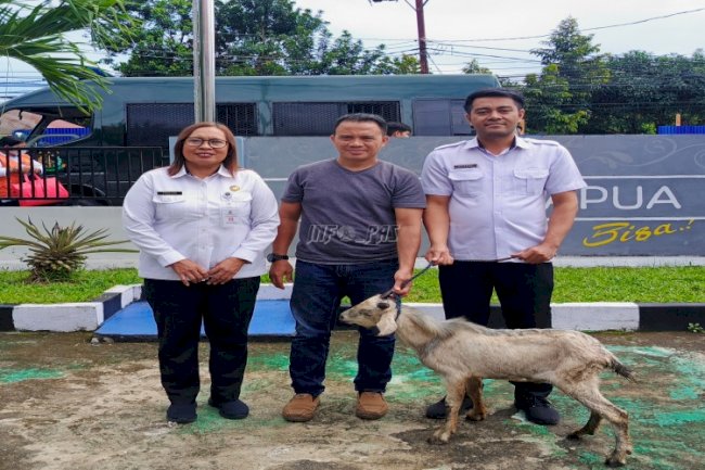 Lapas Perempuan Ambon Terima Hewan Kurban dari Pemprov Maluku, Pemkot Ambon, dan PLN Kota Ambon