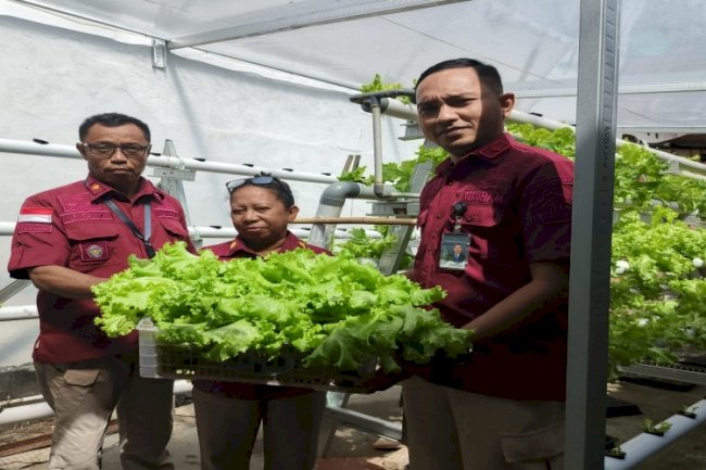 Inovasi Vertikultur Lapas Wahai, Bukti Dukung Ketahanan Pangan bagi Masyarakat Sekitar