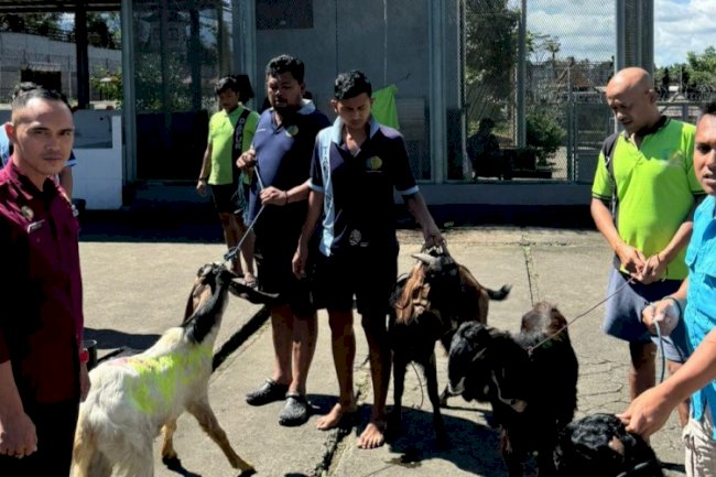 Lapas Narkotika Bangli Terima Tujuh Hewan Kurban Iduladha