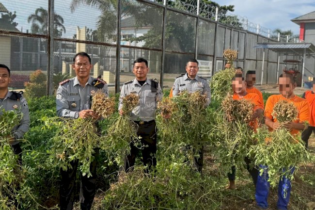 Lapas Banjarbaru Panen 100 Kg Kacang Tanah Hasil Budidaya Warga Binaan