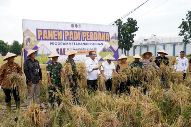Lapas Cirebon Panen Perdana Padi dan Ikan Nila di Lahan SAE