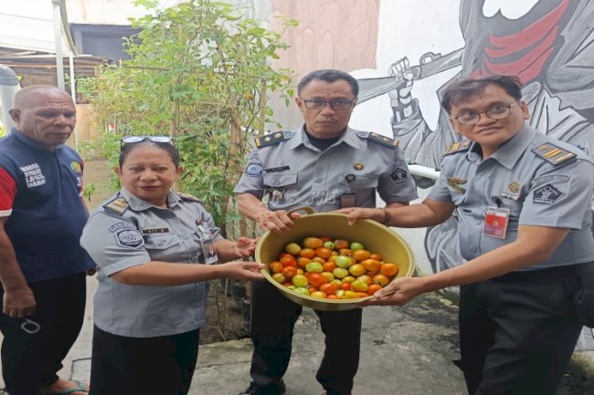 Lapas Wahai Sukses Panen Tomat Apel, Dorong Kemandirian dan Ketahanan Pangan