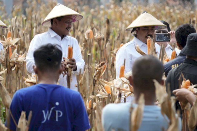 Menimipas Dorong Warga Binaan Dapatkan Manfaat dari Program Ketahanan Pangan