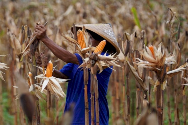 Rutan Kebumen Dukung Program Ketahanan Pangan, Pastikan Warga Binaan Dapat Manfaatnya 