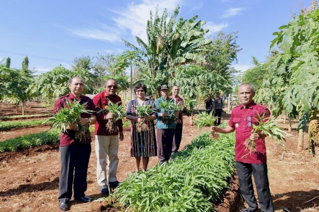 Dari Kebun SAE Lapas Kupang: Warga Binaan Produktif, Ketahanan Pangan Terjaga