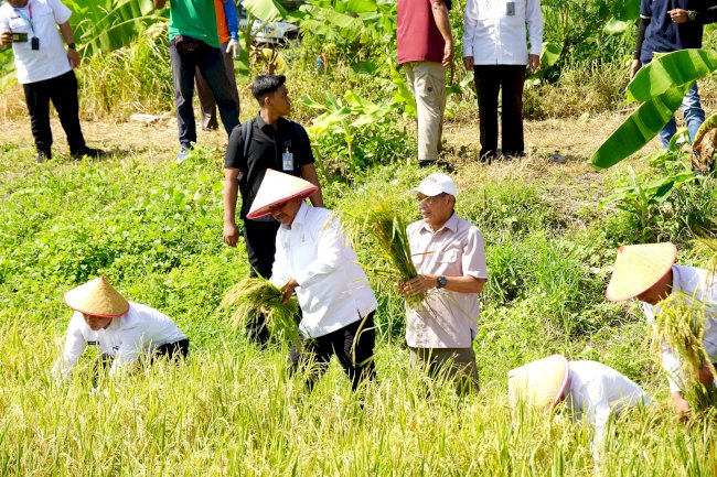 Dirjenpas Tinjau Pembangunan BLK dan Panen Padi di Nusakambangan