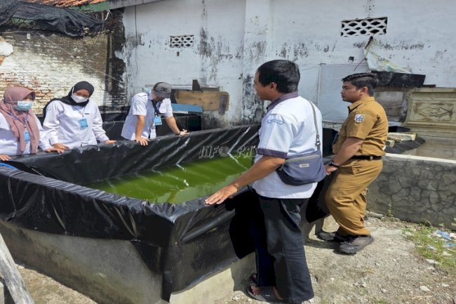 Bersama Dinas Perikanan dan Kelautan Kab. Sampang, Rutan Sampang Maksimalkan Budidaya Lele