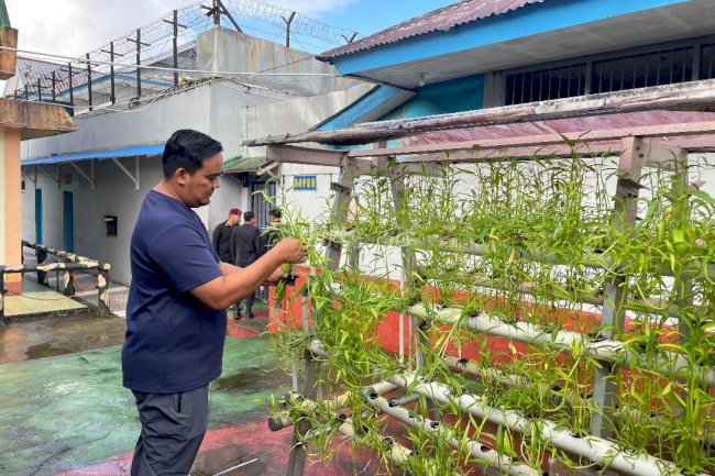Panen Hidroponik, Rutan Ambon Cetak Warga Binaan Mandiri