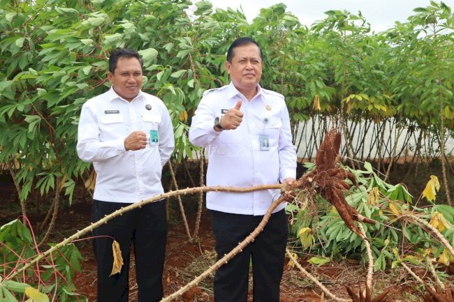 Produktif, Program Ketahanan Pangan Rutan Pelaihari Diapresiasi Kakanwil