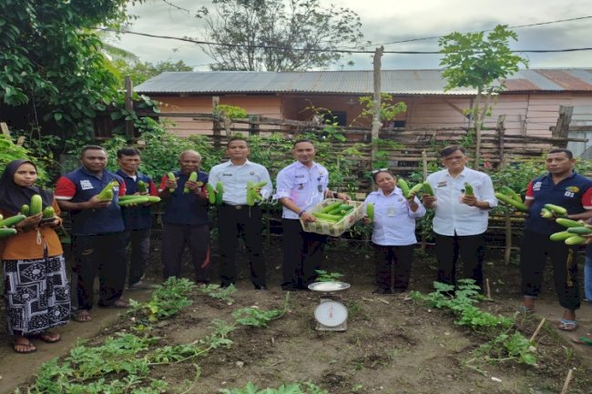 Lapas Wahai Panen 13 Kg Mentimun dan Tujuh Kg Pare