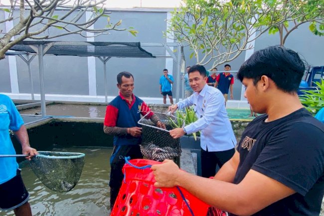 Kolam Sederhana, Hasil Maksimal: Rutan Negara Panen Perdana 60 Kg Lele