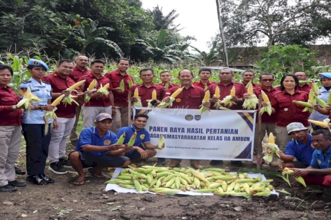 Lapas Ambon Sukses Panen 150 Kg Jagung Manis