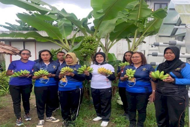 Lapas Perempuan Ambon Dorong Kemandirian lewat Panen Pisang Emas