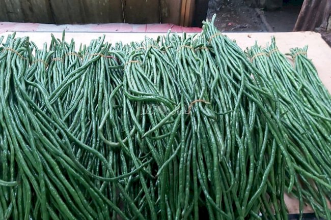 Lapas Ambon Panen Kacang Panjang, Dorong Kemandirian Pangan