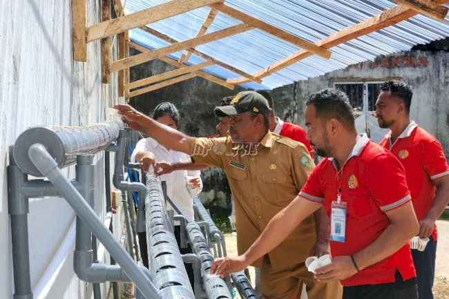 Lapas Tual Latih Warga Binaan Bertani Pakcoy Hidroponik