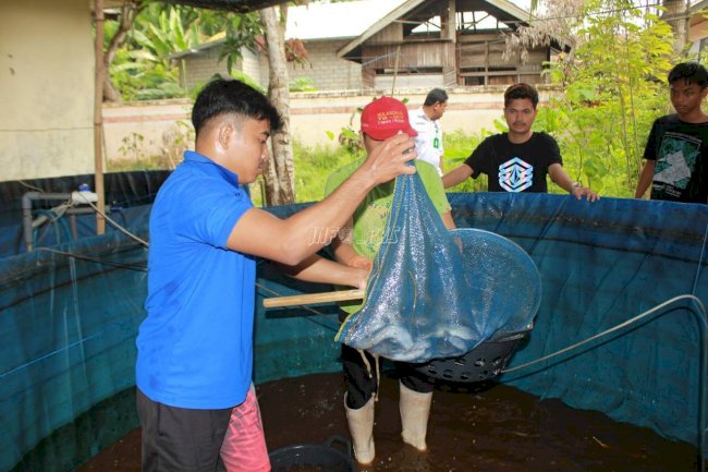 Klien Panen Lele, Kolaborasi Bapas Amuntai dan Kelurahan Sungai Malang