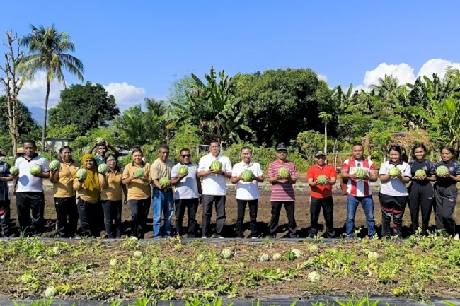 Lapas Kalabahi Sukses Panen 300 Semangka bersama Distanbun Kab. Alor
