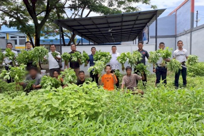 Anak Binaan LPKA Medan Panen Sayuran Hasil Pembinaan Kemandirian