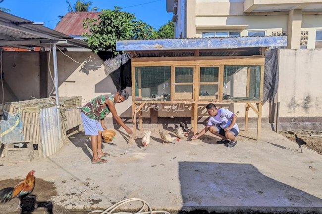 Pembinaan Produktif, Lapas Tolitoli Latih Warga Binaan Beternak