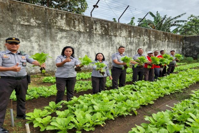 Dukung Ketahanan Pangan, Lapas Tual Panen 21 Kg Sawi