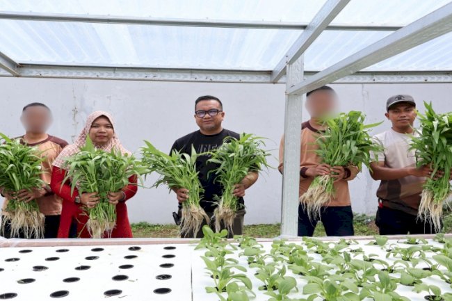 Sukses Panen Kangkung Hidroponik, Kepala LPKA Ambon Puji Anak Binaan 