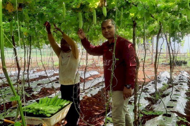 Rutan Pelaihari Panen Pari Lagi, Mantapkan Kemandirian Warga Binaan