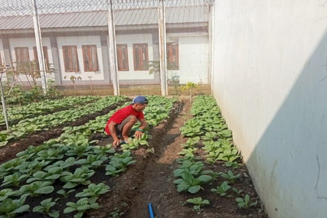 Mandiri dan Produktif, Warga Binaan Lapas Pemuda Madiun Berdaya lewat Kegiatan Kemandirian