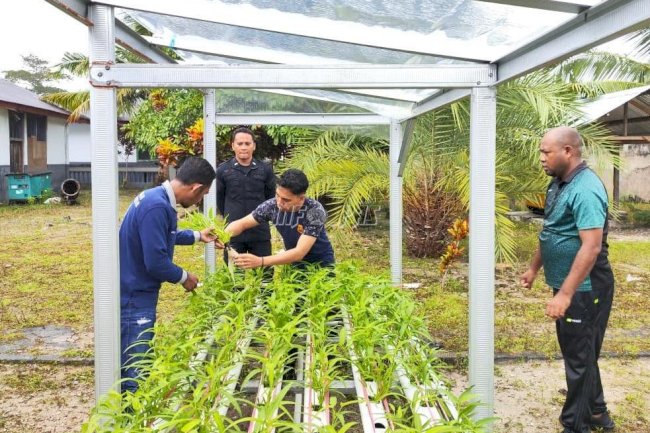 Budidaya Hidroponik Lapas Geser Dukung Ketahanan Pangan