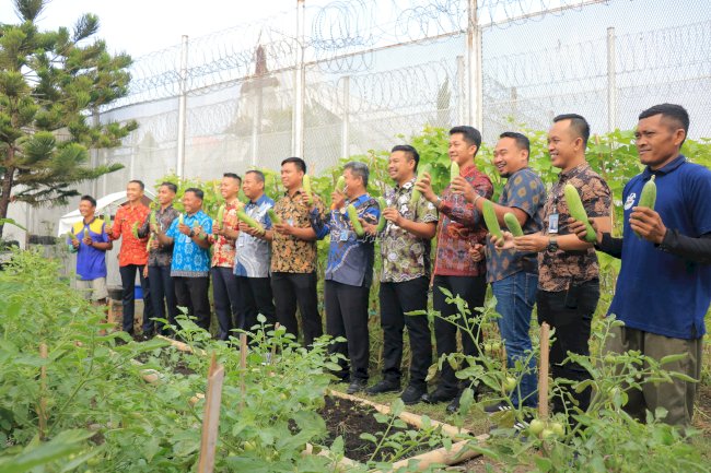 Produktif, Lapas Pemuda Madiun Panen Mentimun dan Sawi