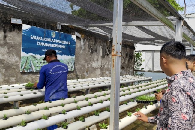 Lapas Sekayu Dukung Ketahanan Pangan lewat Budidaya Kangkung Hidroponik