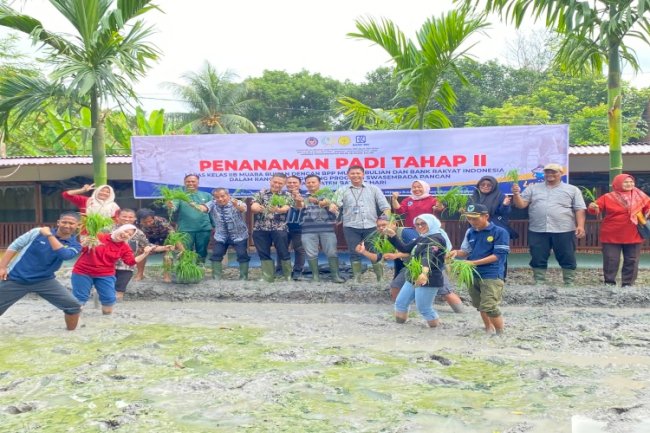 Lapas Muara Bulian Laksanakan Penanaman Padi Tahap II di Lahan SAE