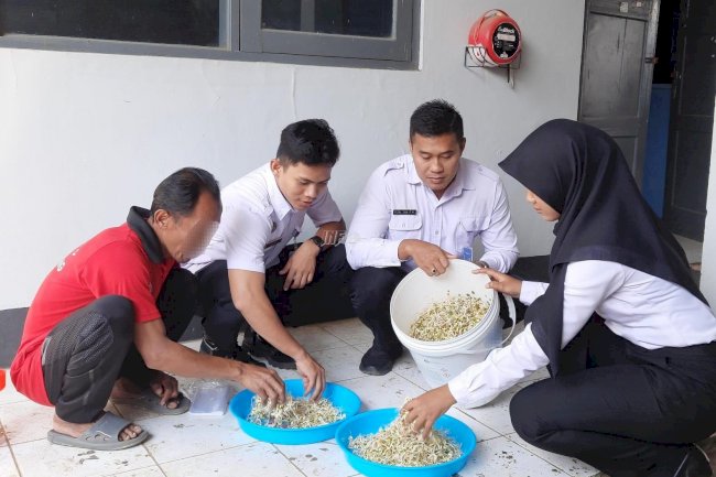 Panen Taoge Segar, Lapas Batang Dorong Pembinaan Warga Binaan