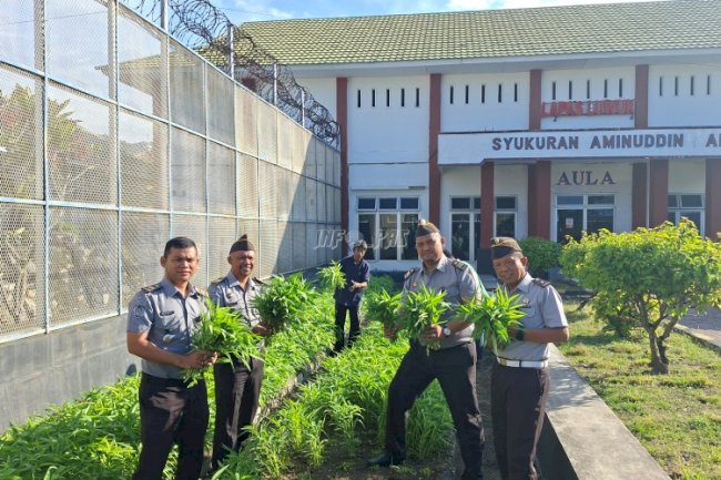 Lapas Luwuk Panen Tahap I, Capai 32 Kg Kangkung