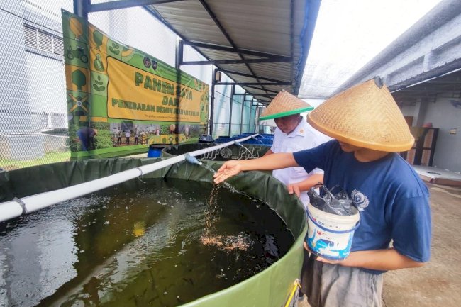 Budidaya Ikan Nila Perkuat Pembinaan Kemandirian di Lapas Cipinang