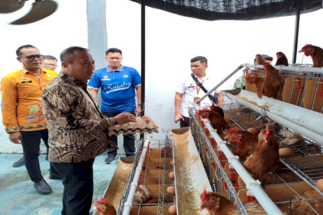 Kakanwil Ditjenpas Kaltim, Staf Ahli Menteri, dan Tenaga Ahli Menteri Apresiasi Panen Telur di Rutan Balikpapan