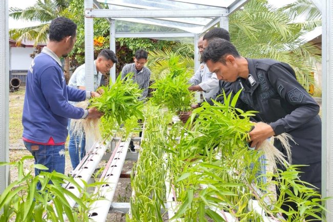 Warga Binaan Lapas Geser Sukses Budidaya Kangkung Hidroponik