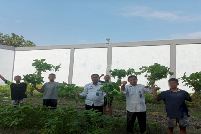 Perdana, Anak Binaan LPKA Medan Petik Hasil Panen Bayam 