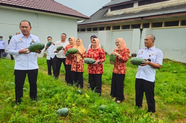 Lapas Pangkalpinang Panen 106 Kg Semangka Inul