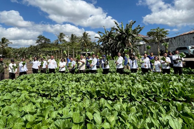 Rutan Kefamenanu Panen Raya Sayuran Holtikultura