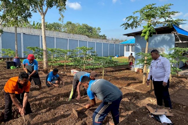 Tingkatkan Produktivitas, Warga Binaan Lapas Saumlaki Garap Lahan Pertanian