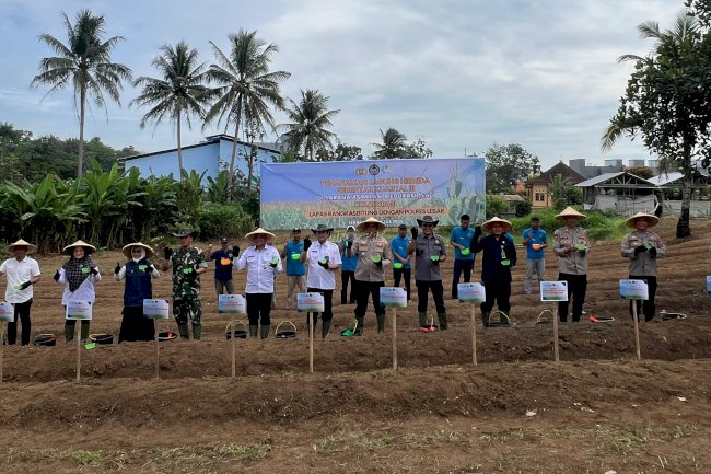 Siap Jadi Garda Terdepan Ketahanan Pangan, Kakanwil Ditjenpas Banten Tanam Jagung di SAE Lapas Rangkasbitung