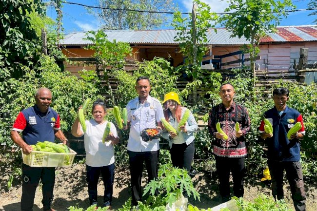 Panen Aneka Sayuran, Warga Binaan Lapas Wahai Konsisten Bertani