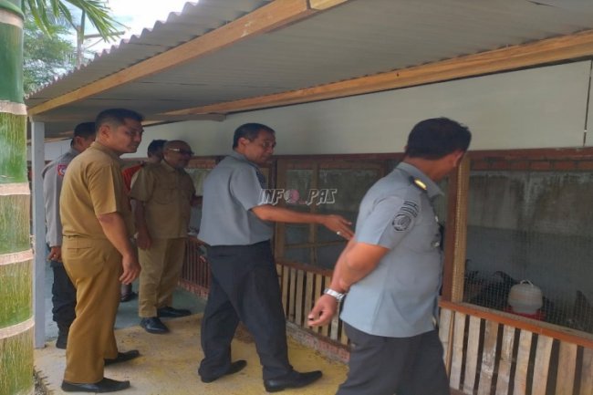 Lewat Program Peternakan Ayam Kampung, Lapas Muara Bulian Ciptakan Pembinaan Produktif