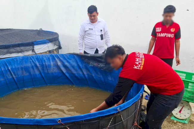 Panen Raya di Rutan Tanjung Redeb, Petugas dan Warga Binaan Hasilkan 50 Kg Ikan Lele