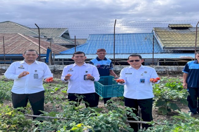Panen 54 Kg Sayuran Segar, Bukti Sukses Program Pertanian di Lapas Luwuk