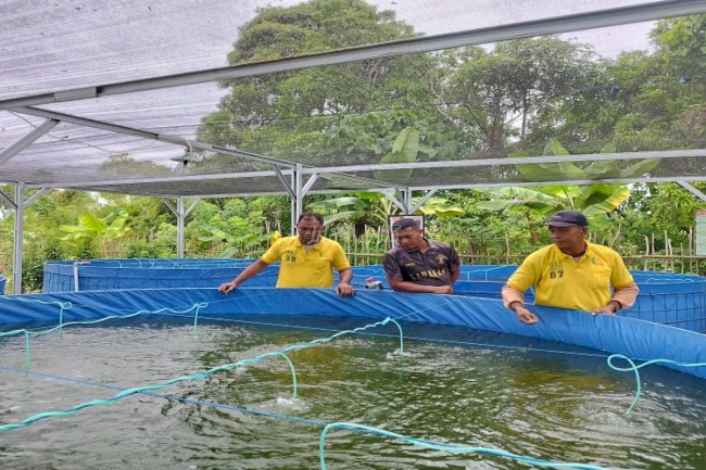 Potensi Ketahanan Pangan, Lapas Namlea Budidayakan Ribuan Ikan Nila