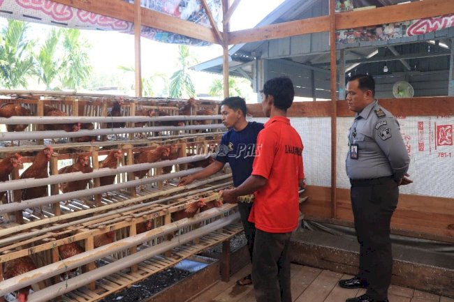Bina Kemandirian & Dukung Ketahanan Pangan, Lapas Jambi Budidayakan Ayam Petelur