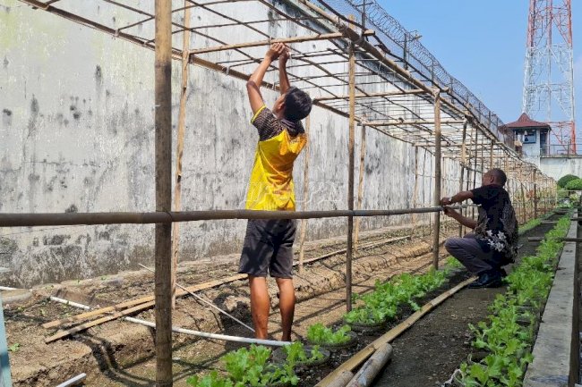 Rutan Kebumen Latih Warga Binaan Bertani Sayuran Pare