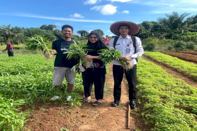 Diminati Masyarakat, Hasil Perkebunan SAE Lapas Batulicin Berbuah Manfaat