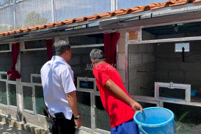 Kalapas Pemuda Madiun Tinjau Peternakan Burung Murai Warga Binaan